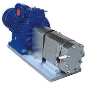 Aço Inoxidável Rotary Lobe Pump (TR)